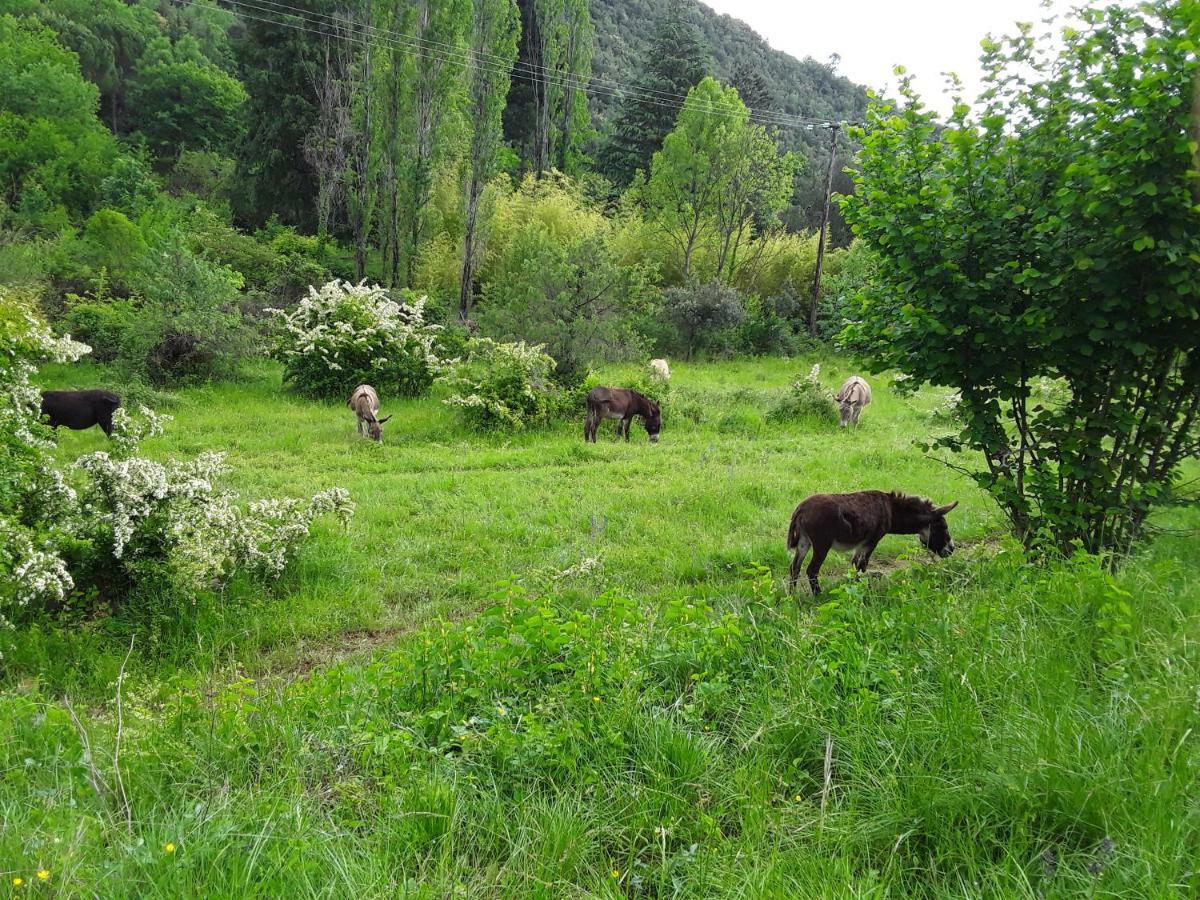 Natur'ânes Villa Mialet  Exterior foto